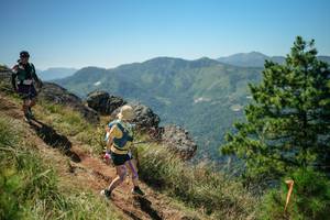 BIB: 
                            <button type="button" onclick="openModal(26633467)" class="btn btn-primary btn-sm float-right btn-popup" data-toggle="modal" data-target=".modal-high-quality">
                        <i class="fas fa-shopping-cart"></i> Add to Cart
                    </button>
                                            <button type="button" onclick="isThisMe(26633467, true)" class="btn btn-success btn-sm float-right btn-popup btn-isme hidden" data-toggle="tooltip" data-placement="bottom" title="นี่คือรูปของคุณใช่ไหม คลิกที่นี่เพื่อเอาเข้าอัลบั้ม">
                        <i class="fas fa-plus"></i> Add to album
                    </button>
                    <button type="button" onclick="isThisMe(26633467, false)" class="btn btn-warning btn-sm float-right btn-popup btn-isnotme hidden">
                        <i class="fas fa-ban"></i> Remove from album
                    </button>