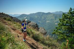 BIB: 
                            <button type="button" onclick="openModal(26633264)" class="btn btn-primary btn-sm float-right btn-popup" data-toggle="modal" data-target=".modal-high-quality">
                        <i class="fas fa-shopping-cart"></i> Add to Cart
                    </button>
                                            <button type="button" onclick="isThisMe(26633264, true)" class="btn btn-success btn-sm float-right btn-popup btn-isme hidden" data-toggle="tooltip" data-placement="bottom" title="นี่คือรูปของคุณใช่ไหม คลิกที่นี่เพื่อเอาเข้าอัลบั้ม">
                        <i class="fas fa-plus"></i> Add to album
                    </button>
                    <button type="button" onclick="isThisMe(26633264, false)" class="btn btn-warning btn-sm float-right btn-popup btn-isnotme hidden">
                        <i class="fas fa-ban"></i> Remove from album
                    </button>