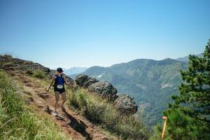 BIB: 
                            <button type="button" onclick="openModal(26634220)" class="btn btn-primary btn-sm float-right btn-popup" data-toggle="modal" data-target=".modal-high-quality">
                        <i class="fas fa-shopping-cart"></i> Add to Cart
                    </button>
                                            <button type="button" onclick="isThisMe(26634220, true)" class="btn btn-success btn-sm float-right btn-popup btn-isme hidden" data-toggle="tooltip" data-placement="bottom" title="นี่คือรูปของคุณใช่ไหม คลิกที่นี่เพื่อเอาเข้าอัลบั้ม">
                        <i class="fas fa-plus"></i> Add to album
                    </button>
                    <button type="button" onclick="isThisMe(26634220, false)" class="btn btn-warning btn-sm float-right btn-popup btn-isnotme hidden">
                        <i class="fas fa-ban"></i> Remove from album
                    </button>