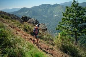 BIB: 
                            <button type="button" onclick="openModal(26635065)" class="btn btn-primary btn-sm float-right btn-popup" data-toggle="modal" data-target=".modal-high-quality">
                        <i class="fas fa-shopping-cart"></i> Add to Cart
                    </button>
                                            <button type="button" onclick="isThisMe(26635065, true)" class="btn btn-success btn-sm float-right btn-popup btn-isme hidden" data-toggle="tooltip" data-placement="bottom" title="นี่คือรูปของคุณใช่ไหม คลิกที่นี่เพื่อเอาเข้าอัลบั้ม">
                        <i class="fas fa-plus"></i> Add to album
                    </button>
                    <button type="button" onclick="isThisMe(26635065, false)" class="btn btn-warning btn-sm float-right btn-popup btn-isnotme hidden">
                        <i class="fas fa-ban"></i> Remove from album
                    </button>