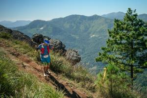 BIB: 
                            <button type="button" onclick="openModal(26635359)" class="btn btn-primary btn-sm float-right btn-popup" data-toggle="modal" data-target=".modal-high-quality">
                        <i class="fas fa-shopping-cart"></i> Add to Cart
                    </button>
                                            <button type="button" onclick="isThisMe(26635359, true)" class="btn btn-success btn-sm float-right btn-popup btn-isme hidden" data-toggle="tooltip" data-placement="bottom" title="นี่คือรูปของคุณใช่ไหม คลิกที่นี่เพื่อเอาเข้าอัลบั้ม">
                        <i class="fas fa-plus"></i> Add to album
                    </button>
                    <button type="button" onclick="isThisMe(26635359, false)" class="btn btn-warning btn-sm float-right btn-popup btn-isnotme hidden">
                        <i class="fas fa-ban"></i> Remove from album
                    </button>