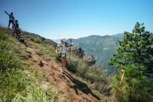 BIB: 
                            <button type="button" onclick="openModal(26631356)" class="btn btn-primary btn-sm float-right btn-popup" data-toggle="modal" data-target=".modal-high-quality">
                        <i class="fas fa-shopping-cart"></i> Add to Cart
                    </button>
                                            <button type="button" onclick="isThisMe(26631356, true)" class="btn btn-success btn-sm float-right btn-popup btn-isme hidden" data-toggle="tooltip" data-placement="bottom" title="นี่คือรูปของคุณใช่ไหม คลิกที่นี่เพื่อเอาเข้าอัลบั้ม">
                        <i class="fas fa-plus"></i> Add to album
                    </button>
                    <button type="button" onclick="isThisMe(26631356, false)" class="btn btn-warning btn-sm float-right btn-popup btn-isnotme hidden">
                        <i class="fas fa-ban"></i> Remove from album
                    </button>