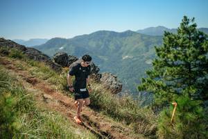 BIB: 
                            <button type="button" onclick="openModal(26633826)" class="btn btn-primary btn-sm float-right btn-popup" data-toggle="modal" data-target=".modal-high-quality">
                        <i class="fas fa-shopping-cart"></i> Add to Cart
                    </button>
                                            <button type="button" onclick="isThisMe(26633826, true)" class="btn btn-success btn-sm float-right btn-popup btn-isme hidden" data-toggle="tooltip" data-placement="bottom" title="นี่คือรูปของคุณใช่ไหม คลิกที่นี่เพื่อเอาเข้าอัลบั้ม">
                        <i class="fas fa-plus"></i> Add to album
                    </button>
                    <button type="button" onclick="isThisMe(26633826, false)" class="btn btn-warning btn-sm float-right btn-popup btn-isnotme hidden">
                        <i class="fas fa-ban"></i> Remove from album
                    </button>