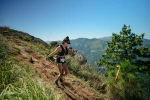 BIB: 
                            <button type="button" onclick="openModal(26631868)" class="btn btn-primary btn-sm float-right btn-popup" data-toggle="modal" data-target=".modal-high-quality">
                        <i class="fas fa-shopping-cart"></i> Add to Cart
                    </button>
                                            <button type="button" onclick="isThisMe(26631868, true)" class="btn btn-success btn-sm float-right btn-popup btn-isme hidden" data-toggle="tooltip" data-placement="bottom" title="นี่คือรูปของคุณใช่ไหม คลิกที่นี่เพื่อเอาเข้าอัลบั้ม">
                        <i class="fas fa-plus"></i> Add to album
                    </button>
                    <button type="button" onclick="isThisMe(26631868, false)" class="btn btn-warning btn-sm float-right btn-popup btn-isnotme hidden">
                        <i class="fas fa-ban"></i> Remove from album
                    </button>