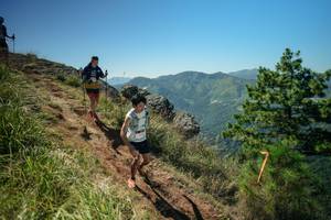 BIB: 
                            <button type="button" onclick="openModal(26631675)" class="btn btn-primary btn-sm float-right btn-popup" data-toggle="modal" data-target=".modal-high-quality">
                        <i class="fas fa-shopping-cart"></i> Add to Cart
                    </button>
                                            <button type="button" onclick="isThisMe(26631675, true)" class="btn btn-success btn-sm float-right btn-popup btn-isme hidden" data-toggle="tooltip" data-placement="bottom" title="นี่คือรูปของคุณใช่ไหม คลิกที่นี่เพื่อเอาเข้าอัลบั้ม">
                        <i class="fas fa-plus"></i> Add to album
                    </button>
                    <button type="button" onclick="isThisMe(26631675, false)" class="btn btn-warning btn-sm float-right btn-popup btn-isnotme hidden">
                        <i class="fas fa-ban"></i> Remove from album
                    </button>