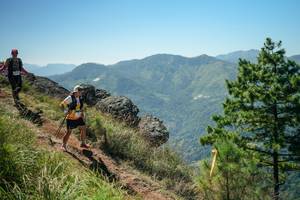 BIB: 
                            <button type="button" onclick="openModal(26633292)" class="btn btn-primary btn-sm float-right btn-popup" data-toggle="modal" data-target=".modal-high-quality">
                        <i class="fas fa-shopping-cart"></i> Add to Cart
                    </button>
                                            <button type="button" onclick="isThisMe(26633292, true)" class="btn btn-success btn-sm float-right btn-popup btn-isme hidden" data-toggle="tooltip" data-placement="bottom" title="นี่คือรูปของคุณใช่ไหม คลิกที่นี่เพื่อเอาเข้าอัลบั้ม">
                        <i class="fas fa-plus"></i> Add to album
                    </button>
                    <button type="button" onclick="isThisMe(26633292, false)" class="btn btn-warning btn-sm float-right btn-popup btn-isnotme hidden">
                        <i class="fas fa-ban"></i> Remove from album
                    </button>