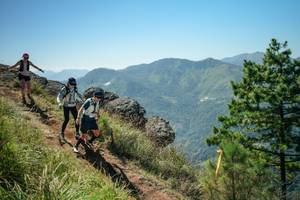 BIB: 
                            <button type="button" onclick="openModal(26633516)" class="btn btn-primary btn-sm float-right btn-popup" data-toggle="modal" data-target=".modal-high-quality">
                        <i class="fas fa-shopping-cart"></i> Add to Cart
                    </button>
                                            <button type="button" onclick="isThisMe(26633516, true)" class="btn btn-success btn-sm float-right btn-popup btn-isme hidden" data-toggle="tooltip" data-placement="bottom" title="นี่คือรูปของคุณใช่ไหม คลิกที่นี่เพื่อเอาเข้าอัลบั้ม">
                        <i class="fas fa-plus"></i> Add to album
                    </button>
                    <button type="button" onclick="isThisMe(26633516, false)" class="btn btn-warning btn-sm float-right btn-popup btn-isnotme hidden">
                        <i class="fas fa-ban"></i> Remove from album
                    </button>