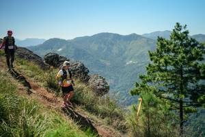 BIB: 
                            <button type="button" onclick="openModal(26633301)" class="btn btn-primary btn-sm float-right btn-popup" data-toggle="modal" data-target=".modal-high-quality">
                        <i class="fas fa-shopping-cart"></i> Add to Cart
                    </button>
                                            <button type="button" onclick="isThisMe(26633301, true)" class="btn btn-success btn-sm float-right btn-popup btn-isme hidden" data-toggle="tooltip" data-placement="bottom" title="นี่คือรูปของคุณใช่ไหม คลิกที่นี่เพื่อเอาเข้าอัลบั้ม">
                        <i class="fas fa-plus"></i> Add to album
                    </button>
                    <button type="button" onclick="isThisMe(26633301, false)" class="btn btn-warning btn-sm float-right btn-popup btn-isnotme hidden">
                        <i class="fas fa-ban"></i> Remove from album
                    </button>