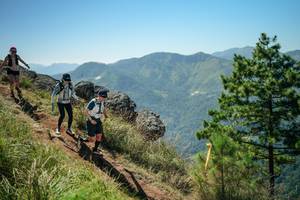 BIB: 
                            <button type="button" onclick="openModal(26633532)" class="btn btn-primary btn-sm float-right btn-popup" data-toggle="modal" data-target=".modal-high-quality">
                        <i class="fas fa-shopping-cart"></i> Add to Cart
                    </button>
                                            <button type="button" onclick="isThisMe(26633532, true)" class="btn btn-success btn-sm float-right btn-popup btn-isme hidden" data-toggle="tooltip" data-placement="bottom" title="นี่คือรูปของคุณใช่ไหม คลิกที่นี่เพื่อเอาเข้าอัลบั้ม">
                        <i class="fas fa-plus"></i> Add to album
                    </button>
                    <button type="button" onclick="isThisMe(26633532, false)" class="btn btn-warning btn-sm float-right btn-popup btn-isnotme hidden">
                        <i class="fas fa-ban"></i> Remove from album
                    </button>