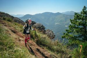 BIB: 
                            <button type="button" onclick="openModal(26636275)" class="btn btn-primary btn-sm float-right btn-popup" data-toggle="modal" data-target=".modal-high-quality">
                        <i class="fas fa-shopping-cart"></i> Add to Cart
                    </button>
                                            <button type="button" onclick="isThisMe(26636275, true)" class="btn btn-success btn-sm float-right btn-popup btn-isme hidden" data-toggle="tooltip" data-placement="bottom" title="นี่คือรูปของคุณใช่ไหม คลิกที่นี่เพื่อเอาเข้าอัลบั้ม">
                        <i class="fas fa-plus"></i> Add to album
                    </button>
                    <button type="button" onclick="isThisMe(26636275, false)" class="btn btn-warning btn-sm float-right btn-popup btn-isnotme hidden">
                        <i class="fas fa-ban"></i> Remove from album
                    </button>