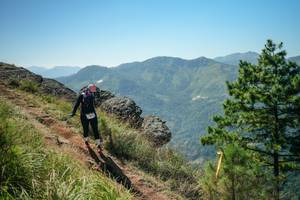 BIB: 
                            <button type="button" onclick="openModal(26633448)" class="btn btn-primary btn-sm float-right btn-popup" data-toggle="modal" data-target=".modal-high-quality">
                        <i class="fas fa-shopping-cart"></i> Add to Cart
                    </button>
                                            <button type="button" onclick="isThisMe(26633448, true)" class="btn btn-success btn-sm float-right btn-popup btn-isme hidden" data-toggle="tooltip" data-placement="bottom" title="นี่คือรูปของคุณใช่ไหม คลิกที่นี่เพื่อเอาเข้าอัลบั้ม">
                        <i class="fas fa-plus"></i> Add to album
                    </button>
                    <button type="button" onclick="isThisMe(26633448, false)" class="btn btn-warning btn-sm float-right btn-popup btn-isnotme hidden">
                        <i class="fas fa-ban"></i> Remove from album
                    </button>