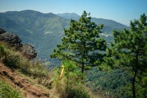 BIB: 
                            <button type="button" onclick="openModal(26633861)" class="btn btn-primary btn-sm float-right btn-popup" data-toggle="modal" data-target=".modal-high-quality">
                        <i class="fas fa-shopping-cart"></i> Add to Cart
                    </button>
                                            <button type="button" onclick="isThisMe(26633861, true)" class="btn btn-success btn-sm float-right btn-popup btn-isme hidden" data-toggle="tooltip" data-placement="bottom" title="นี่คือรูปของคุณใช่ไหม คลิกที่นี่เพื่อเอาเข้าอัลบั้ม">
                        <i class="fas fa-plus"></i> Add to album
                    </button>
                    <button type="button" onclick="isThisMe(26633861, false)" class="btn btn-warning btn-sm float-right btn-popup btn-isnotme hidden">
                        <i class="fas fa-ban"></i> Remove from album
                    </button>