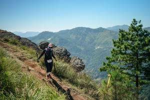 BIB: 
                            <button type="button" onclick="openModal(26633465)" class="btn btn-primary btn-sm float-right btn-popup" data-toggle="modal" data-target=".modal-high-quality">
                        <i class="fas fa-shopping-cart"></i> Add to Cart
                    </button>
                                            <button type="button" onclick="isThisMe(26633465, true)" class="btn btn-success btn-sm float-right btn-popup btn-isme hidden" data-toggle="tooltip" data-placement="bottom" title="นี่คือรูปของคุณใช่ไหม คลิกที่นี่เพื่อเอาเข้าอัลบั้ม">
                        <i class="fas fa-plus"></i> Add to album
                    </button>
                    <button type="button" onclick="isThisMe(26633465, false)" class="btn btn-warning btn-sm float-right btn-popup btn-isnotme hidden">
                        <i class="fas fa-ban"></i> Remove from album
                    </button>