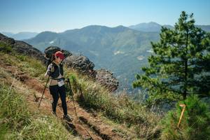 BIB: 
                            <button type="button" onclick="openModal(26635490)" class="btn btn-primary btn-sm float-right btn-popup" data-toggle="modal" data-target=".modal-high-quality">
                        <i class="fas fa-shopping-cart"></i> Add to Cart
                    </button>
                                            <button type="button" onclick="isThisMe(26635490, true)" class="btn btn-success btn-sm float-right btn-popup btn-isme hidden" data-toggle="tooltip" data-placement="bottom" title="นี่คือรูปของคุณใช่ไหม คลิกที่นี่เพื่อเอาเข้าอัลบั้ม">
                        <i class="fas fa-plus"></i> Add to album
                    </button>
                    <button type="button" onclick="isThisMe(26635490, false)" class="btn btn-warning btn-sm float-right btn-popup btn-isnotme hidden">
                        <i class="fas fa-ban"></i> Remove from album
                    </button>