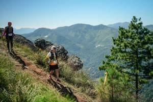 BIB: 
                            <button type="button" onclick="openModal(26633306)" class="btn btn-primary btn-sm float-right btn-popup" data-toggle="modal" data-target=".modal-high-quality">
                        <i class="fas fa-shopping-cart"></i> Add to Cart
                    </button>
                                            <button type="button" onclick="isThisMe(26633306, true)" class="btn btn-success btn-sm float-right btn-popup btn-isme hidden" data-toggle="tooltip" data-placement="bottom" title="นี่คือรูปของคุณใช่ไหม คลิกที่นี่เพื่อเอาเข้าอัลบั้ม">
                        <i class="fas fa-plus"></i> Add to album
                    </button>
                    <button type="button" onclick="isThisMe(26633306, false)" class="btn btn-warning btn-sm float-right btn-popup btn-isnotme hidden">
                        <i class="fas fa-ban"></i> Remove from album
                    </button>