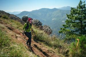 BIB: 
                            <button type="button" onclick="openModal(26636420)" class="btn btn-primary btn-sm float-right btn-popup" data-toggle="modal" data-target=".modal-high-quality">
                        <i class="fas fa-shopping-cart"></i> Add to Cart
                    </button>
                                            <button type="button" onclick="isThisMe(26636420, true)" class="btn btn-success btn-sm float-right btn-popup btn-isme hidden" data-toggle="tooltip" data-placement="bottom" title="นี่คือรูปของคุณใช่ไหม คลิกที่นี่เพื่อเอาเข้าอัลบั้ม">
                        <i class="fas fa-plus"></i> Add to album
                    </button>
                    <button type="button" onclick="isThisMe(26636420, false)" class="btn btn-warning btn-sm float-right btn-popup btn-isnotme hidden">
                        <i class="fas fa-ban"></i> Remove from album
                    </button>