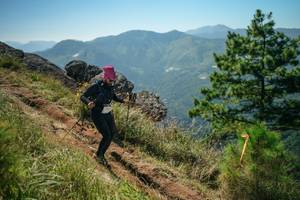 BIB: 
                            <button type="button" onclick="openModal(26636268)" class="btn btn-primary btn-sm float-right btn-popup" data-toggle="modal" data-target=".modal-high-quality">
                        <i class="fas fa-shopping-cart"></i> Add to Cart
                    </button>
                                            <button type="button" onclick="isThisMe(26636268, true)" class="btn btn-success btn-sm float-right btn-popup btn-isme hidden" data-toggle="tooltip" data-placement="bottom" title="นี่คือรูปของคุณใช่ไหม คลิกที่นี่เพื่อเอาเข้าอัลบั้ม">
                        <i class="fas fa-plus"></i> Add to album
                    </button>
                    <button type="button" onclick="isThisMe(26636268, false)" class="btn btn-warning btn-sm float-right btn-popup btn-isnotme hidden">
                        <i class="fas fa-ban"></i> Remove from album
                    </button>