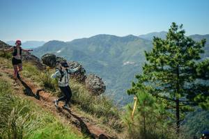 BIB: 
                            <button type="button" onclick="openModal(26633545)" class="btn btn-primary btn-sm float-right btn-popup" data-toggle="modal" data-target=".modal-high-quality">
                        <i class="fas fa-shopping-cart"></i> Add to Cart
                    </button>
                                            <button type="button" onclick="isThisMe(26633545, true)" class="btn btn-success btn-sm float-right btn-popup btn-isme hidden" data-toggle="tooltip" data-placement="bottom" title="นี่คือรูปของคุณใช่ไหม คลิกที่นี่เพื่อเอาเข้าอัลบั้ม">
                        <i class="fas fa-plus"></i> Add to album
                    </button>
                    <button type="button" onclick="isThisMe(26633545, false)" class="btn btn-warning btn-sm float-right btn-popup btn-isnotme hidden">
                        <i class="fas fa-ban"></i> Remove from album
                    </button>