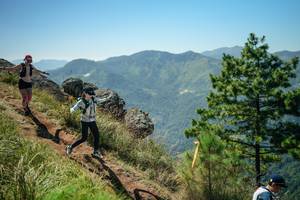 BIB: 
                            <button type="button" onclick="openModal(26633538)" class="btn btn-primary btn-sm float-right btn-popup" data-toggle="modal" data-target=".modal-high-quality">
                        <i class="fas fa-shopping-cart"></i> Add to Cart
                    </button>
                                            <button type="button" onclick="isThisMe(26633538, true)" class="btn btn-success btn-sm float-right btn-popup btn-isme hidden" data-toggle="tooltip" data-placement="bottom" title="นี่คือรูปของคุณใช่ไหม คลิกที่นี่เพื่อเอาเข้าอัลบั้ม">
                        <i class="fas fa-plus"></i> Add to album
                    </button>
                    <button type="button" onclick="isThisMe(26633538, false)" class="btn btn-warning btn-sm float-right btn-popup btn-isnotme hidden">
                        <i class="fas fa-ban"></i> Remove from album
                    </button>