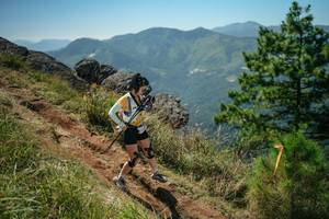 BIB: 
                            <button type="button" onclick="openModal(26635051)" class="btn btn-primary btn-sm float-right btn-popup" data-toggle="modal" data-target=".modal-high-quality">
                        <i class="fas fa-shopping-cart"></i> Add to Cart
                    </button>
                                            <button type="button" onclick="isThisMe(26635051, true)" class="btn btn-success btn-sm float-right btn-popup btn-isme hidden" data-toggle="tooltip" data-placement="bottom" title="นี่คือรูปของคุณใช่ไหม คลิกที่นี่เพื่อเอาเข้าอัลบั้ม">
                        <i class="fas fa-plus"></i> Add to album
                    </button>
                    <button type="button" onclick="isThisMe(26635051, false)" class="btn btn-warning btn-sm float-right btn-popup btn-isnotme hidden">
                        <i class="fas fa-ban"></i> Remove from album
                    </button>