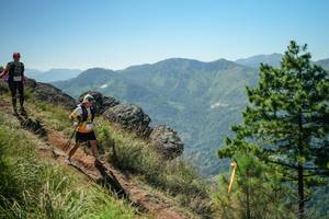 BIB: 
                            <button type="button" onclick="openModal(26633290)" class="btn btn-primary btn-sm float-right btn-popup" data-toggle="modal" data-target=".modal-high-quality">
                        <i class="fas fa-shopping-cart"></i> Add to Cart
                    </button>
                                            <button type="button" onclick="isThisMe(26633290, true)" class="btn btn-success btn-sm float-right btn-popup btn-isme hidden" data-toggle="tooltip" data-placement="bottom" title="นี่คือรูปของคุณใช่ไหม คลิกที่นี่เพื่อเอาเข้าอัลบั้ม">
                        <i class="fas fa-plus"></i> Add to album
                    </button>
                    <button type="button" onclick="isThisMe(26633290, false)" class="btn btn-warning btn-sm float-right btn-popup btn-isnotme hidden">
                        <i class="fas fa-ban"></i> Remove from album
                    </button>