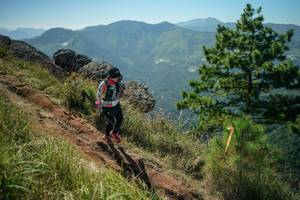 BIB: 
                            <button type="button" onclick="openModal(26636204)" class="btn btn-primary btn-sm float-right btn-popup" data-toggle="modal" data-target=".modal-high-quality">
                        <i class="fas fa-shopping-cart"></i> Add to Cart
                    </button>
                                            <button type="button" onclick="isThisMe(26636204, true)" class="btn btn-success btn-sm float-right btn-popup btn-isme hidden" data-toggle="tooltip" data-placement="bottom" title="นี่คือรูปของคุณใช่ไหม คลิกที่นี่เพื่อเอาเข้าอัลบั้ม">
                        <i class="fas fa-plus"></i> Add to album
                    </button>
                    <button type="button" onclick="isThisMe(26636204, false)" class="btn btn-warning btn-sm float-right btn-popup btn-isnotme hidden">
                        <i class="fas fa-ban"></i> Remove from album
                    </button>