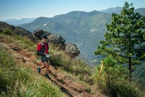 BIB: 
                            <button type="button" onclick="openModal(26633620)" class="btn btn-primary btn-sm float-right btn-popup" data-toggle="modal" data-target=".modal-high-quality">
                        <i class="fas fa-shopping-cart"></i> Add to Cart
                    </button>
                                            <button type="button" onclick="isThisMe(26633620, true)" class="btn btn-success btn-sm float-right btn-popup btn-isme hidden" data-toggle="tooltip" data-placement="bottom" title="นี่คือรูปของคุณใช่ไหม คลิกที่นี่เพื่อเอาเข้าอัลบั้ม">
                        <i class="fas fa-plus"></i> Add to album
                    </button>
                    <button type="button" onclick="isThisMe(26633620, false)" class="btn btn-warning btn-sm float-right btn-popup btn-isnotme hidden">
                        <i class="fas fa-ban"></i> Remove from album
                    </button>