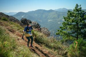 BIB: 
                            <button type="button" onclick="openModal(26635765)" class="btn btn-primary btn-sm float-right btn-popup" data-toggle="modal" data-target=".modal-high-quality">
                        <i class="fas fa-shopping-cart"></i> Add to Cart
                    </button>
                                            <button type="button" onclick="isThisMe(26635765, true)" class="btn btn-success btn-sm float-right btn-popup btn-isme hidden" data-toggle="tooltip" data-placement="bottom" title="นี่คือรูปของคุณใช่ไหม คลิกที่นี่เพื่อเอาเข้าอัลบั้ม">
                        <i class="fas fa-plus"></i> Add to album
                    </button>
                    <button type="button" onclick="isThisMe(26635765, false)" class="btn btn-warning btn-sm float-right btn-popup btn-isnotme hidden">
                        <i class="fas fa-ban"></i> Remove from album
                    </button>