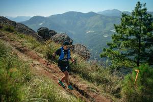 BIB: 
                            <button type="button" onclick="openModal(26636166)" class="btn btn-primary btn-sm float-right btn-popup" data-toggle="modal" data-target=".modal-high-quality">
                        <i class="fas fa-shopping-cart"></i> Add to Cart
                    </button>
                                            <button type="button" onclick="isThisMe(26636166, true)" class="btn btn-success btn-sm float-right btn-popup btn-isme hidden" data-toggle="tooltip" data-placement="bottom" title="นี่คือรูปของคุณใช่ไหม คลิกที่นี่เพื่อเอาเข้าอัลบั้ม">
                        <i class="fas fa-plus"></i> Add to album
                    </button>
                    <button type="button" onclick="isThisMe(26636166, false)" class="btn btn-warning btn-sm float-right btn-popup btn-isnotme hidden">
                        <i class="fas fa-ban"></i> Remove from album
                    </button>