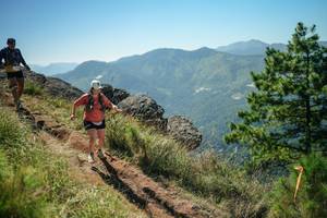 BIB: 
                            <button type="button" onclick="openModal(26635771)" class="btn btn-primary btn-sm float-right btn-popup" data-toggle="modal" data-target=".modal-high-quality">
                        <i class="fas fa-shopping-cart"></i> Add to Cart
                    </button>
                                            <button type="button" onclick="isThisMe(26635771, true)" class="btn btn-success btn-sm float-right btn-popup btn-isme hidden" data-toggle="tooltip" data-placement="bottom" title="นี่คือรูปของคุณใช่ไหม คลิกที่นี่เพื่อเอาเข้าอัลบั้ม">
                        <i class="fas fa-plus"></i> Add to album
                    </button>
                    <button type="button" onclick="isThisMe(26635771, false)" class="btn btn-warning btn-sm float-right btn-popup btn-isnotme hidden">
                        <i class="fas fa-ban"></i> Remove from album
                    </button>