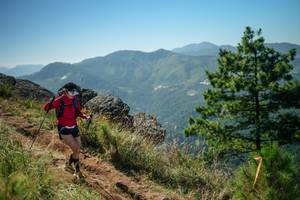 BIB: 
                            <button type="button" onclick="openModal(26635684)" class="btn btn-primary btn-sm float-right btn-popup" data-toggle="modal" data-target=".modal-high-quality">
                        <i class="fas fa-shopping-cart"></i> Add to Cart
                    </button>
                                            <button type="button" onclick="isThisMe(26635684, true)" class="btn btn-success btn-sm float-right btn-popup btn-isme hidden" data-toggle="tooltip" data-placement="bottom" title="นี่คือรูปของคุณใช่ไหม คลิกที่นี่เพื่อเอาเข้าอัลบั้ม">
                        <i class="fas fa-plus"></i> Add to album
                    </button>
                    <button type="button" onclick="isThisMe(26635684, false)" class="btn btn-warning btn-sm float-right btn-popup btn-isnotme hidden">
                        <i class="fas fa-ban"></i> Remove from album
                    </button>