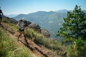 BIB: 
                            <button type="button" onclick="openModal(26635793)" class="btn btn-primary btn-sm float-right btn-popup" data-toggle="modal" data-target=".modal-high-quality">
                        <i class="fas fa-shopping-cart"></i> Add to Cart
                    </button>
                                            <button type="button" onclick="isThisMe(26635793, true)" class="btn btn-success btn-sm float-right btn-popup btn-isme hidden" data-toggle="tooltip" data-placement="bottom" title="นี่คือรูปของคุณใช่ไหม คลิกที่นี่เพื่อเอาเข้าอัลบั้ม">
                        <i class="fas fa-plus"></i> Add to album
                    </button>
                    <button type="button" onclick="isThisMe(26635793, false)" class="btn btn-warning btn-sm float-right btn-popup btn-isnotme hidden">
                        <i class="fas fa-ban"></i> Remove from album
                    </button>