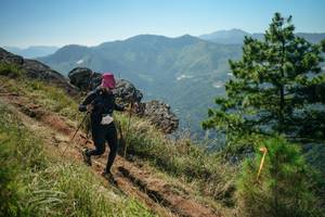 BIB: 
                            <button type="button" onclick="openModal(26636266)" class="btn btn-primary btn-sm float-right btn-popup" data-toggle="modal" data-target=".modal-high-quality">
                        <i class="fas fa-shopping-cart"></i> Add to Cart
                    </button>
                                            <button type="button" onclick="isThisMe(26636266, true)" class="btn btn-success btn-sm float-right btn-popup btn-isme hidden" data-toggle="tooltip" data-placement="bottom" title="นี่คือรูปของคุณใช่ไหม คลิกที่นี่เพื่อเอาเข้าอัลบั้ม">
                        <i class="fas fa-plus"></i> Add to album
                    </button>
                    <button type="button" onclick="isThisMe(26636266, false)" class="btn btn-warning btn-sm float-right btn-popup btn-isnotme hidden">
                        <i class="fas fa-ban"></i> Remove from album
                    </button>