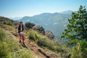 BIB: 
                            <button type="button" onclick="openModal(26636231)" class="btn btn-primary btn-sm float-right btn-popup" data-toggle="modal" data-target=".modal-high-quality">
                        <i class="fas fa-shopping-cart"></i> Add to Cart
                    </button>
                                            <button type="button" onclick="isThisMe(26636231, true)" class="btn btn-success btn-sm float-right btn-popup btn-isme hidden" data-toggle="tooltip" data-placement="bottom" title="นี่คือรูปของคุณใช่ไหม คลิกที่นี่เพื่อเอาเข้าอัลบั้ม">
                        <i class="fas fa-plus"></i> Add to album
                    </button>
                    <button type="button" onclick="isThisMe(26636231, false)" class="btn btn-warning btn-sm float-right btn-popup btn-isnotme hidden">
                        <i class="fas fa-ban"></i> Remove from album
                    </button>