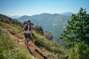 BIB: 
                            <button type="button" onclick="openModal(26635964)" class="btn btn-primary btn-sm float-right btn-popup" data-toggle="modal" data-target=".modal-high-quality">
                        <i class="fas fa-shopping-cart"></i> Add to Cart
                    </button>
                                            <button type="button" onclick="isThisMe(26635964, true)" class="btn btn-success btn-sm float-right btn-popup btn-isme hidden" data-toggle="tooltip" data-placement="bottom" title="นี่คือรูปของคุณใช่ไหม คลิกที่นี่เพื่อเอาเข้าอัลบั้ม">
                        <i class="fas fa-plus"></i> Add to album
                    </button>
                    <button type="button" onclick="isThisMe(26635964, false)" class="btn btn-warning btn-sm float-right btn-popup btn-isnotme hidden">
                        <i class="fas fa-ban"></i> Remove from album
                    </button>