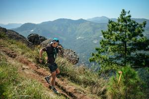 BIB: 
                            <button type="button" onclick="openModal(26635909)" class="btn btn-primary btn-sm float-right btn-popup" data-toggle="modal" data-target=".modal-high-quality">
                        <i class="fas fa-shopping-cart"></i> Add to Cart
                    </button>
                                            <button type="button" onclick="isThisMe(26635909, true)" class="btn btn-success btn-sm float-right btn-popup btn-isme hidden" data-toggle="tooltip" data-placement="bottom" title="นี่คือรูปของคุณใช่ไหม คลิกที่นี่เพื่อเอาเข้าอัลบั้ม">
                        <i class="fas fa-plus"></i> Add to album
                    </button>
                    <button type="button" onclick="isThisMe(26635909, false)" class="btn btn-warning btn-sm float-right btn-popup btn-isnotme hidden">
                        <i class="fas fa-ban"></i> Remove from album
                    </button>