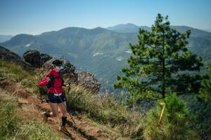 BIB: 
                            <button type="button" onclick="openModal(26635691)" class="btn btn-primary btn-sm float-right btn-popup" data-toggle="modal" data-target=".modal-high-quality">
                        <i class="fas fa-shopping-cart"></i> Add to Cart
                    </button>
                                            <button type="button" onclick="isThisMe(26635691, true)" class="btn btn-success btn-sm float-right btn-popup btn-isme hidden" data-toggle="tooltip" data-placement="bottom" title="นี่คือรูปของคุณใช่ไหม คลิกที่นี่เพื่อเอาเข้าอัลบั้ม">
                        <i class="fas fa-plus"></i> Add to album
                    </button>
                    <button type="button" onclick="isThisMe(26635691, false)" class="btn btn-warning btn-sm float-right btn-popup btn-isnotme hidden">
                        <i class="fas fa-ban"></i> Remove from album
                    </button>