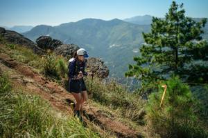 BIB: 
                            <button type="button" onclick="openModal(26636218)" class="btn btn-primary btn-sm float-right btn-popup" data-toggle="modal" data-target=".modal-high-quality">
                        <i class="fas fa-shopping-cart"></i> Add to Cart
                    </button>
                                            <button type="button" onclick="isThisMe(26636218, true)" class="btn btn-success btn-sm float-right btn-popup btn-isme hidden" data-toggle="tooltip" data-placement="bottom" title="นี่คือรูปของคุณใช่ไหม คลิกที่นี่เพื่อเอาเข้าอัลบั้ม">
                        <i class="fas fa-plus"></i> Add to album
                    </button>
                    <button type="button" onclick="isThisMe(26636218, false)" class="btn btn-warning btn-sm float-right btn-popup btn-isnotme hidden">
                        <i class="fas fa-ban"></i> Remove from album
                    </button>