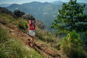 BIB: 
                            <button type="button" onclick="openModal(26636092)" class="btn btn-primary btn-sm float-right btn-popup" data-toggle="modal" data-target=".modal-high-quality">
                        <i class="fas fa-shopping-cart"></i> Add to Cart
                    </button>
                                            <button type="button" onclick="isThisMe(26636092, true)" class="btn btn-success btn-sm float-right btn-popup btn-isme hidden" data-toggle="tooltip" data-placement="bottom" title="นี่คือรูปของคุณใช่ไหม คลิกที่นี่เพื่อเอาเข้าอัลบั้ม">
                        <i class="fas fa-plus"></i> Add to album
                    </button>
                    <button type="button" onclick="isThisMe(26636092, false)" class="btn btn-warning btn-sm float-right btn-popup btn-isnotme hidden">
                        <i class="fas fa-ban"></i> Remove from album
                    </button>