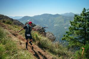 BIB: 
                            <button type="button" onclick="openModal(26635216)" class="btn btn-primary btn-sm float-right btn-popup" data-toggle="modal" data-target=".modal-high-quality">
                        <i class="fas fa-shopping-cart"></i> Add to Cart
                    </button>
                                            <button type="button" onclick="isThisMe(26635216, true)" class="btn btn-success btn-sm float-right btn-popup btn-isme hidden" data-toggle="tooltip" data-placement="bottom" title="นี่คือรูปของคุณใช่ไหม คลิกที่นี่เพื่อเอาเข้าอัลบั้ม">
                        <i class="fas fa-plus"></i> Add to album
                    </button>
                    <button type="button" onclick="isThisMe(26635216, false)" class="btn btn-warning btn-sm float-right btn-popup btn-isnotme hidden">
                        <i class="fas fa-ban"></i> Remove from album
                    </button>