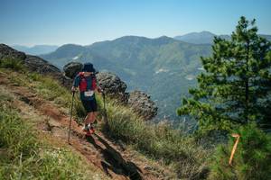 BIB: 
                            <button type="button" onclick="openModal(26634964)" class="btn btn-primary btn-sm float-right btn-popup" data-toggle="modal" data-target=".modal-high-quality">
                        <i class="fas fa-shopping-cart"></i> Add to Cart
                    </button>
                                            <button type="button" onclick="isThisMe(26634964, true)" class="btn btn-success btn-sm float-right btn-popup btn-isme hidden" data-toggle="tooltip" data-placement="bottom" title="นี่คือรูปของคุณใช่ไหม คลิกที่นี่เพื่อเอาเข้าอัลบั้ม">
                        <i class="fas fa-plus"></i> Add to album
                    </button>
                    <button type="button" onclick="isThisMe(26634964, false)" class="btn btn-warning btn-sm float-right btn-popup btn-isnotme hidden">
                        <i class="fas fa-ban"></i> Remove from album
                    </button>