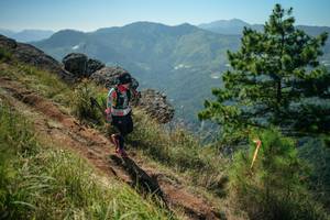 BIB: 
                            <button type="button" onclick="openModal(26636198)" class="btn btn-primary btn-sm float-right btn-popup" data-toggle="modal" data-target=".modal-high-quality">
                        <i class="fas fa-shopping-cart"></i> Add to Cart
                    </button>
                                            <button type="button" onclick="isThisMe(26636198, true)" class="btn btn-success btn-sm float-right btn-popup btn-isme hidden" data-toggle="tooltip" data-placement="bottom" title="นี่คือรูปของคุณใช่ไหม คลิกที่นี่เพื่อเอาเข้าอัลบั้ม">
                        <i class="fas fa-plus"></i> Add to album
                    </button>
                    <button type="button" onclick="isThisMe(26636198, false)" class="btn btn-warning btn-sm float-right btn-popup btn-isnotme hidden">
                        <i class="fas fa-ban"></i> Remove from album
                    </button>