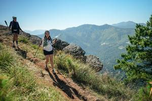 BIB: 
                            <button type="button" onclick="openModal(26635103)" class="btn btn-primary btn-sm float-right btn-popup" data-toggle="modal" data-target=".modal-high-quality">
                        <i class="fas fa-shopping-cart"></i> Add to Cart
                    </button>
                                            <button type="button" onclick="isThisMe(26635103, true)" class="btn btn-success btn-sm float-right btn-popup btn-isme hidden" data-toggle="tooltip" data-placement="bottom" title="นี่คือรูปของคุณใช่ไหม คลิกที่นี่เพื่อเอาเข้าอัลบั้ม">
                        <i class="fas fa-plus"></i> Add to album
                    </button>
                    <button type="button" onclick="isThisMe(26635103, false)" class="btn btn-warning btn-sm float-right btn-popup btn-isnotme hidden">
                        <i class="fas fa-ban"></i> Remove from album
                    </button>