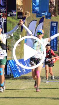 BIB:  <button type="button" onclick="openModal(26675648)" class="btn btn-primary btn-sm float-right" data-toggle="modal" data-target=".modal-high-quality">
                <i class="fa fa-download"></i> Download
                </button>