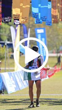 BIB:  <button type="button" onclick="openModal(26644471)" class="btn btn-primary btn-sm float-right" data-toggle="modal" data-target=".modal-high-quality">
                <i class="fa fa-download"></i> Download
                </button>