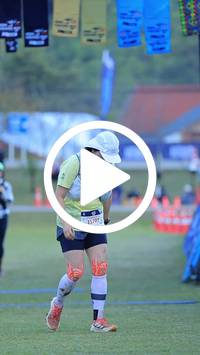 BIB:  <button type="button" onclick="openModal(26677292)" class="btn btn-primary btn-sm float-right" data-toggle="modal" data-target=".modal-high-quality">
                <i class="fa fa-download"></i> Download
                </button>