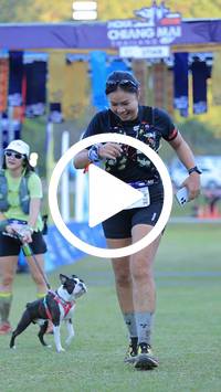 BIB:  <button type="button" onclick="openModal(26677066)" class="btn btn-primary btn-sm float-right" data-toggle="modal" data-target=".modal-high-quality">
                <i class="fa fa-download"></i> Download
                </button>