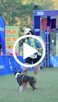 BIB:  <button type="button" onclick="openModal(26677071)" class="btn btn-primary btn-sm float-right" data-toggle="modal" data-target=".modal-high-quality">
                <i class="fa fa-download"></i> Download
                </button>