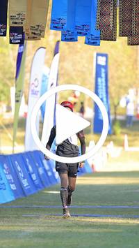 BIB:  <button type="button" onclick="openModal(26676860)" class="btn btn-primary btn-sm float-right" data-toggle="modal" data-target=".modal-high-quality">
                <i class="fa fa-download"></i> Download
                </button>