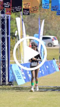 BIB:  <button type="button" onclick="openModal(26670304)" class="btn btn-primary btn-sm float-right" data-toggle="modal" data-target=".modal-high-quality">
                <i class="fa fa-download"></i> Download
                </button>